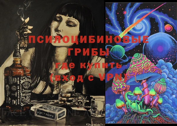 ГАЛЛЮЦИНОГЕННЫЕ ГРИБЫ Белоозёрский