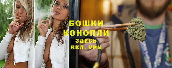 ГАЛЛЮЦИНОГЕННЫЕ ГРИБЫ Белоозёрский