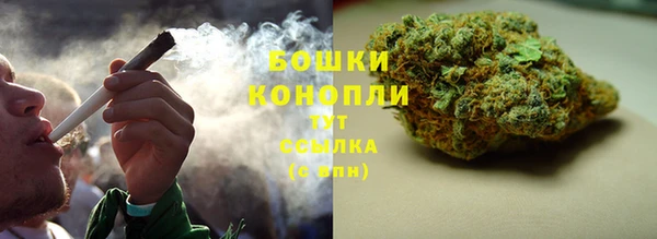 каннабис Белокуриха