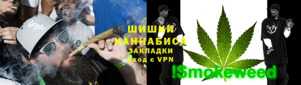 ГАЛЛЮЦИНОГЕННЫЕ ГРИБЫ Белоозёрский