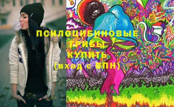 ГАЛЛЮЦИНОГЕННЫЕ ГРИБЫ Белоозёрский