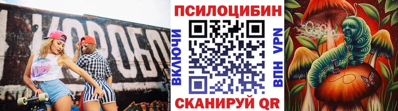 Галлюциногенные грибы GOLDEN TEACHER  Пикалёво 